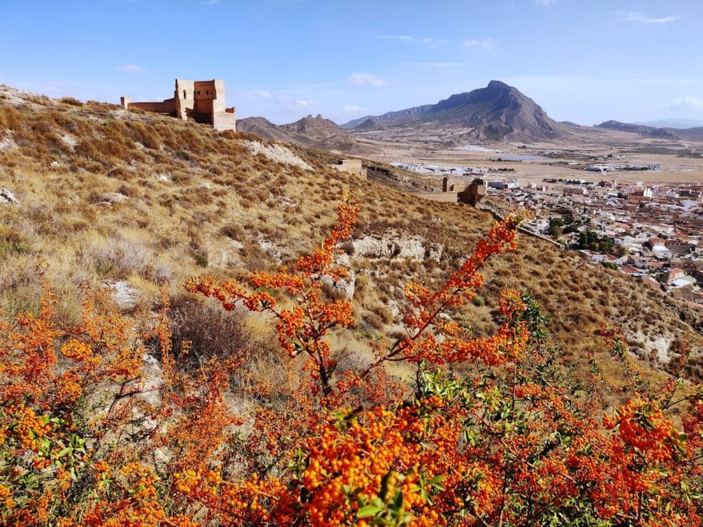 Castle of Jumilla
