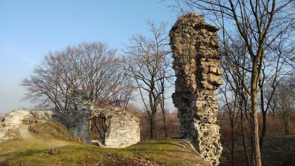 Międzygórz Castle: A Royal Castle in Poland 4 Miedzygorz Castle