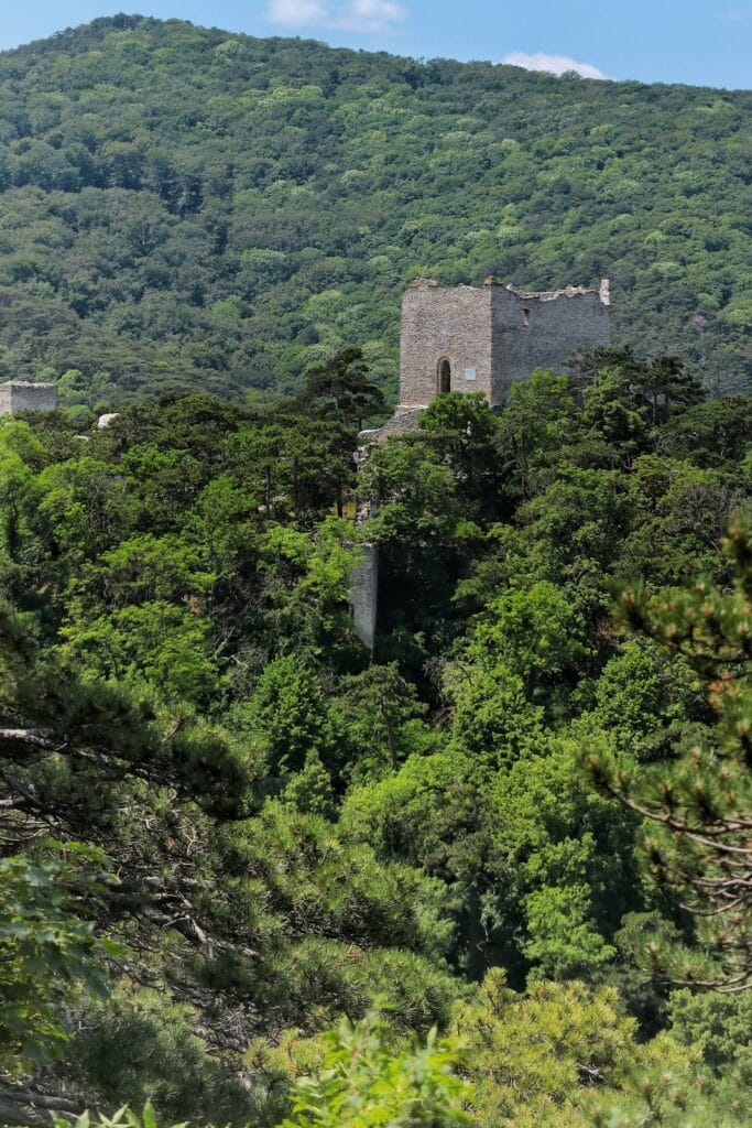Burgruine Mödling