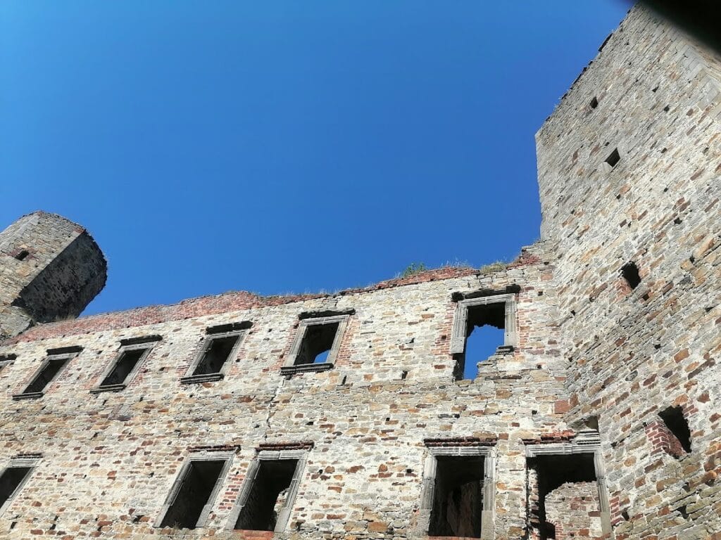 Drzewica Castle