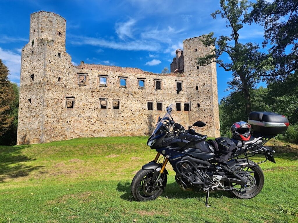Drzewica Castle