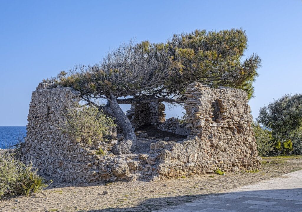 Castell de Sant Jordi d'Alfama: A Coastal Fortress in Spain 4 Castell de Sant Jordi d'Alfama