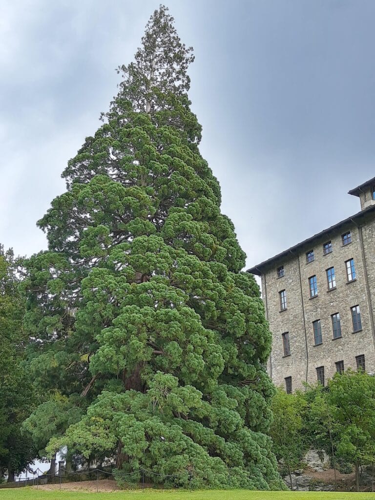 Gamba Castle: A Twentieth-Century Manor and Modern Art Centre in Italy 5 Gamba Castle