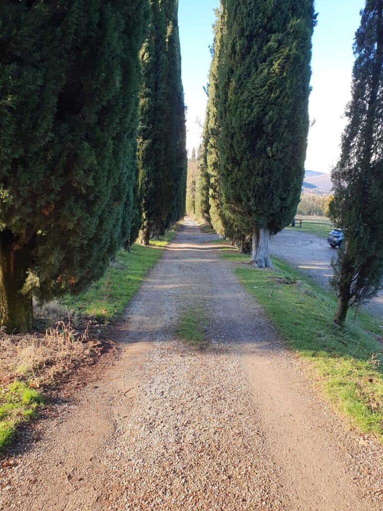 Castello di Romena: A Medieval Fortress in Pratovecchio Stia, Italy 10 Castello di Romena