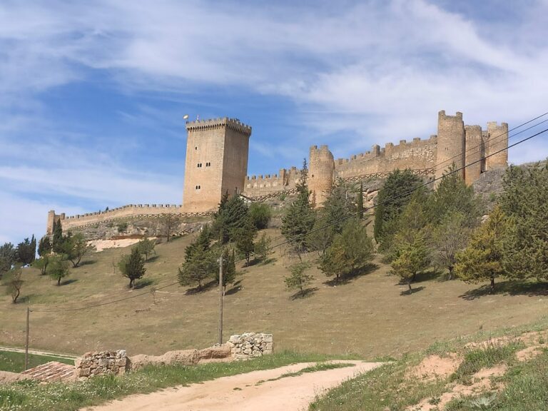 Castle of Peñaranda de Duero: A Historic Fortress in Spain