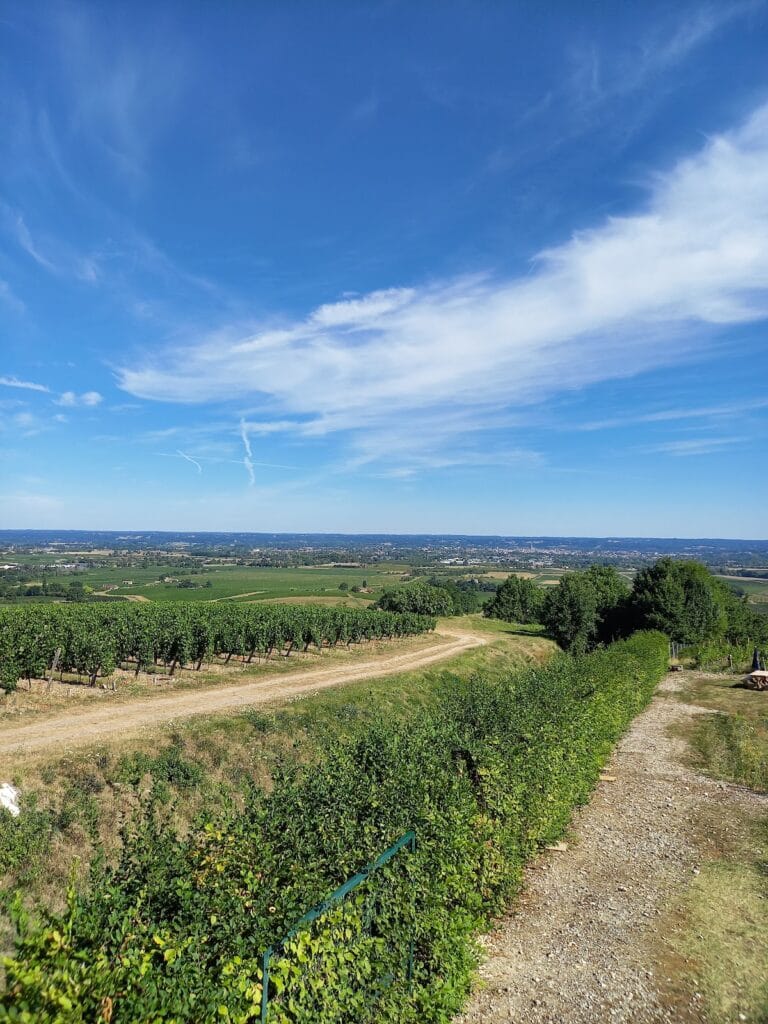 Château de Monbazillac