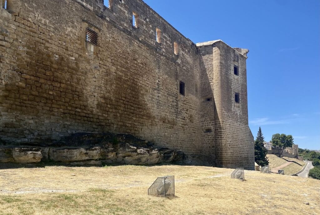 Castle of Sabiote