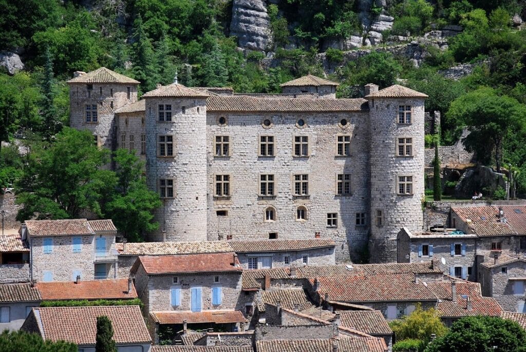 Château de Vogüé: A Fortified Castle and Renaissance Residence in France 1 Château de Vogüé (Vogüé, France)