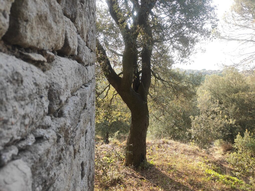 Castell d'Esparreguera