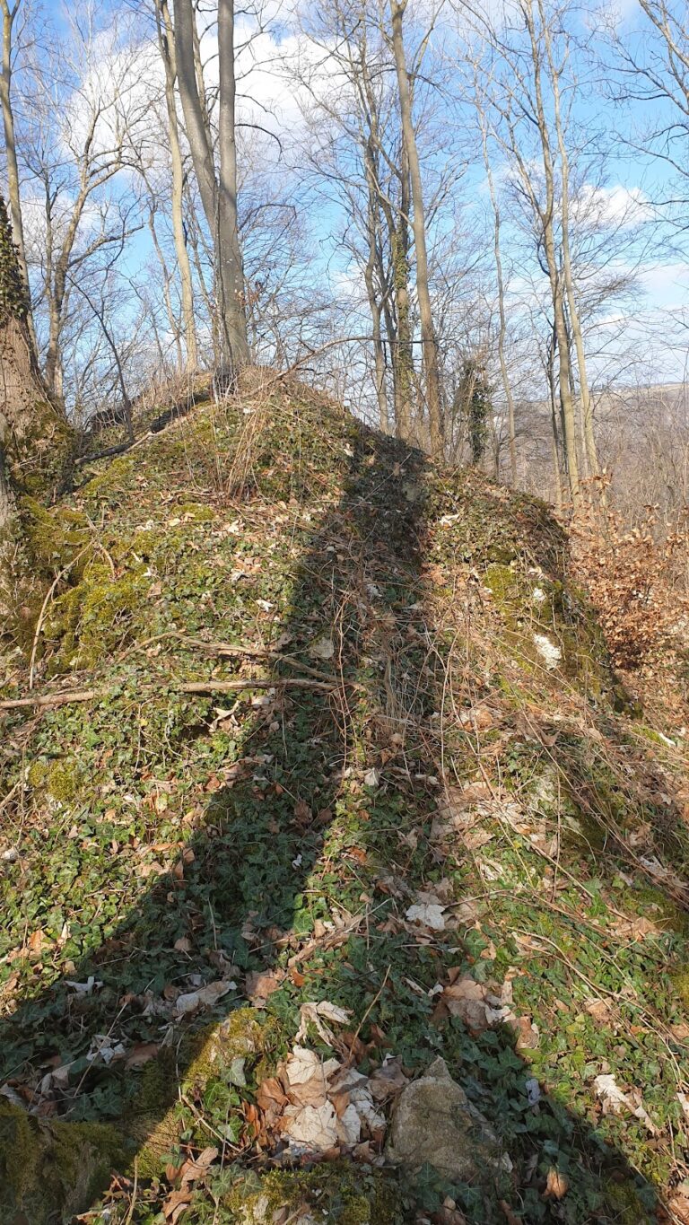 Burg Bühringen: A Medieval Castle in Bad Überkingen, Germany