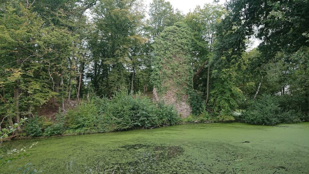 Großbernsau Castle: A Medieval Water Castle in Germany 2 Großbernsau Castle