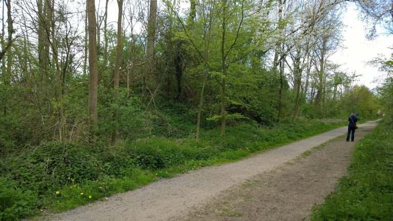 Burg Helpenstein: A Medieval Motte Castle in Neuss
