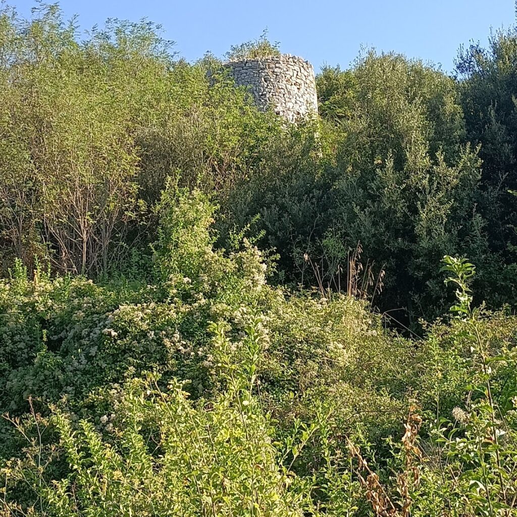 Rocca di San Salvatore Telesino
