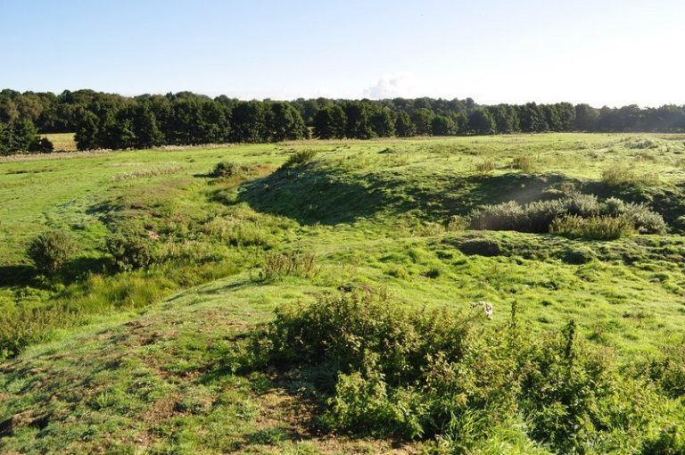 Horsford Castle: A Norman Motte-and-Bailey Castle in Norfolk