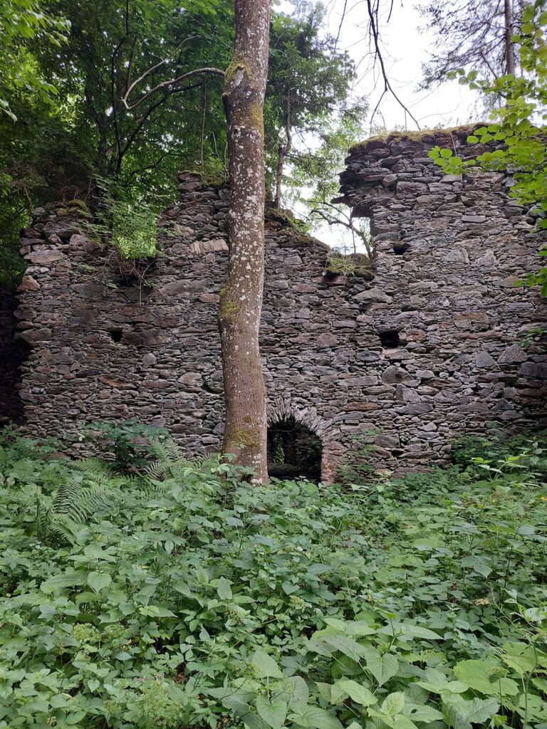 Burgruine Prägrad: A Medieval Fortress in Carinthia, Austria