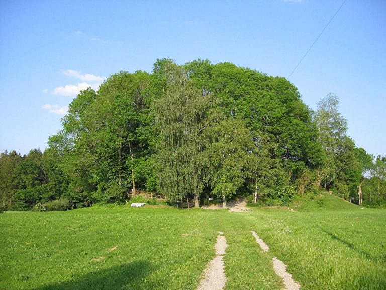 Burg bei Burgweiler: A Medieval Moated Castle Site in Germany