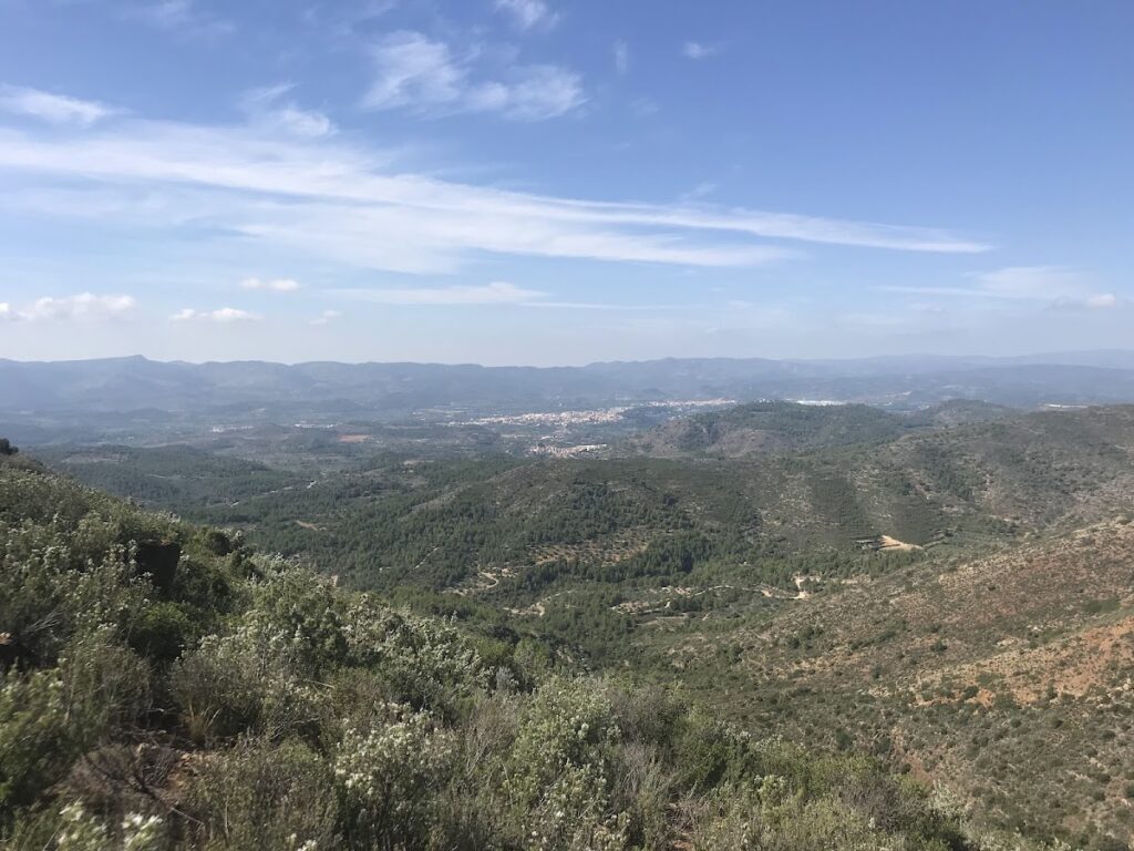 Castell de la Rodana