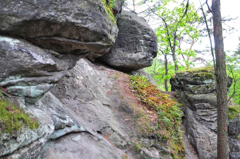 Hvězda Castle: A Medieval Fortification in the Czech Republic