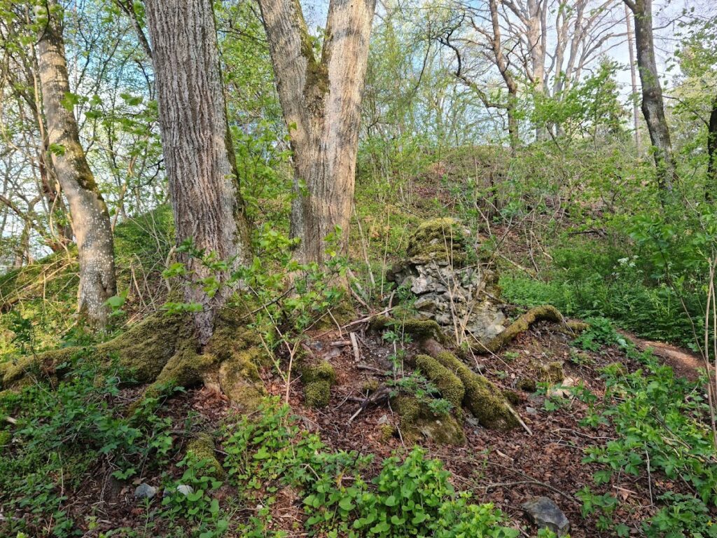 Burg Staufen (Hegau)