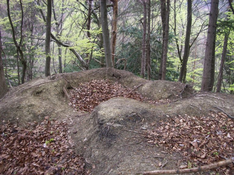 Sellenbüren / Ofengüpf: Medieval Hill-Castle Site in Switzerland