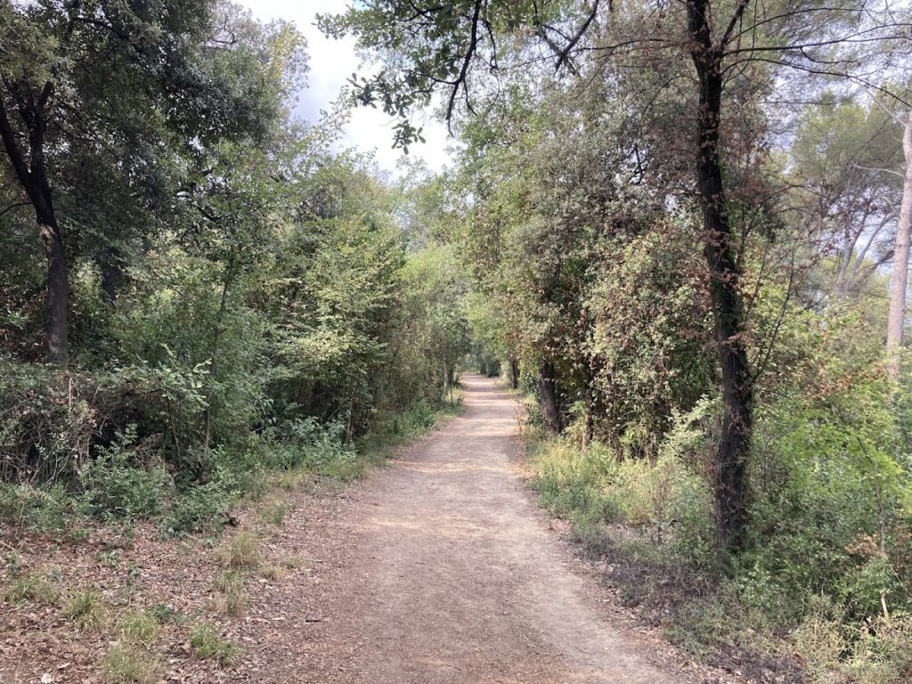 Castell de Barberà: A Historic Medieval Fortress in Barberà del Vallès, Spain 4 Castell de Barberà