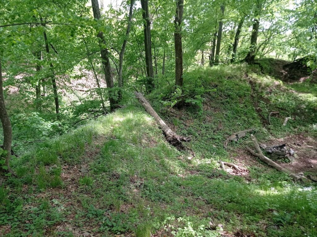 Bukovina: A Medieval Hilltop Castle near Hostim, Czechia 1 Bukovina