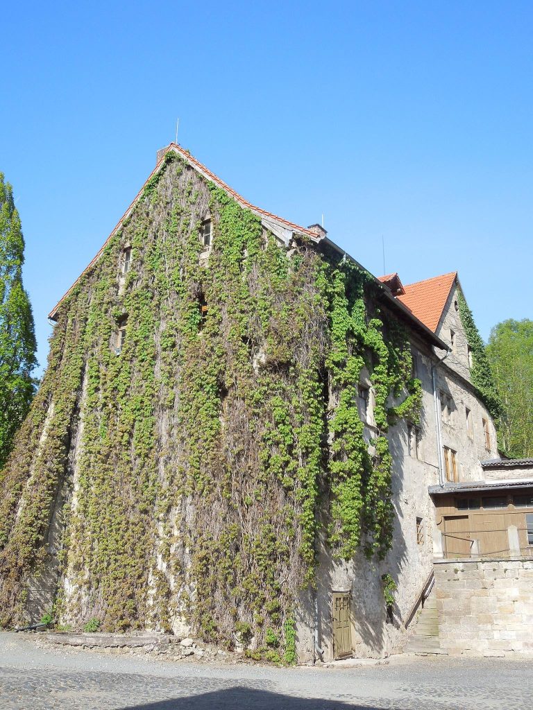 Burg Züschen: A Lost Castle and Later Manor Estate in Germany