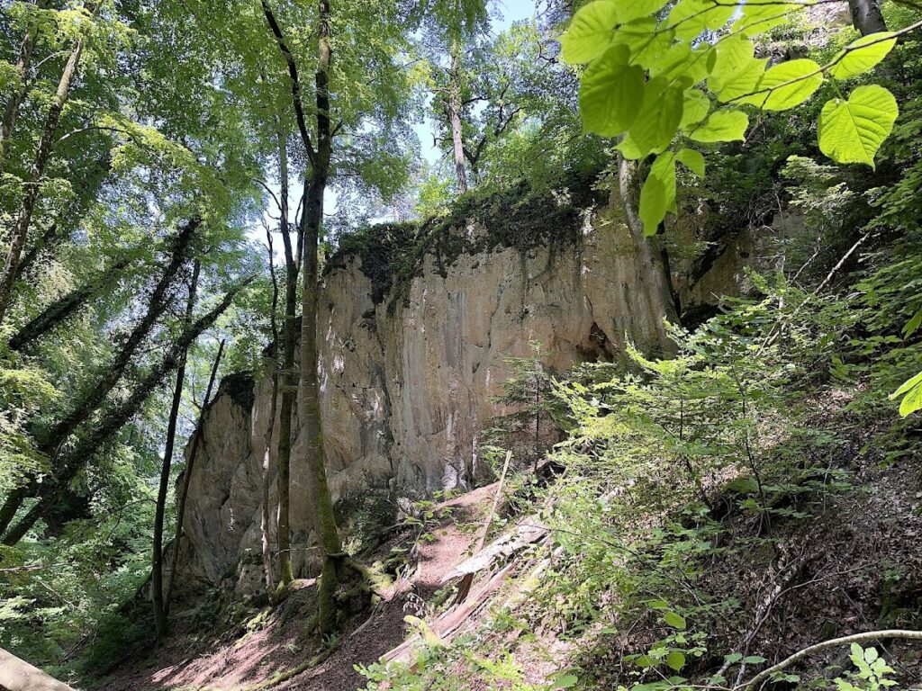 Medieval castle ruins Fürstenstein