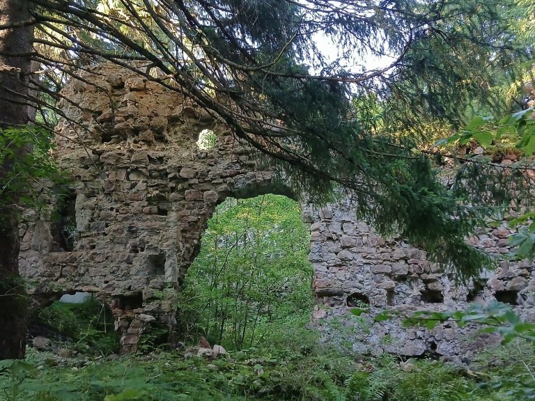 Burg Nesselburg: A Medieval Administrative Castle Ruin in Bavaria