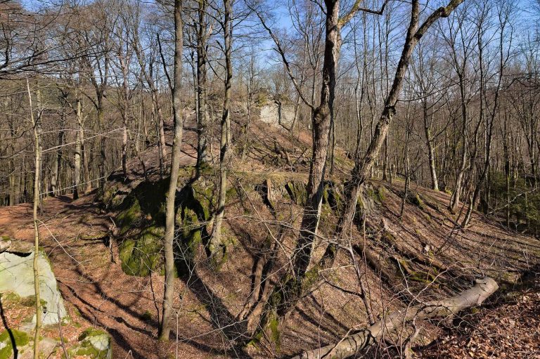 Burg Hattstein: A Medieval Spur Castle in Germany