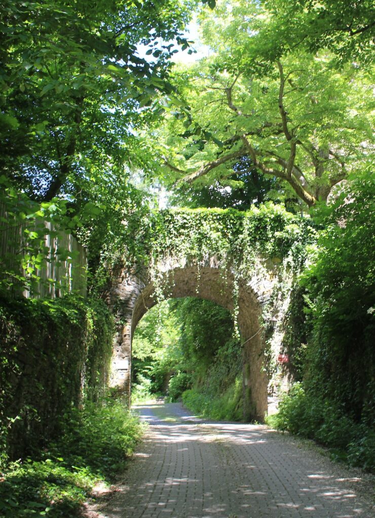 Ziegenberg Castle: A Historic Fortress and Residence in Germany 4 Ziegenberg Castle