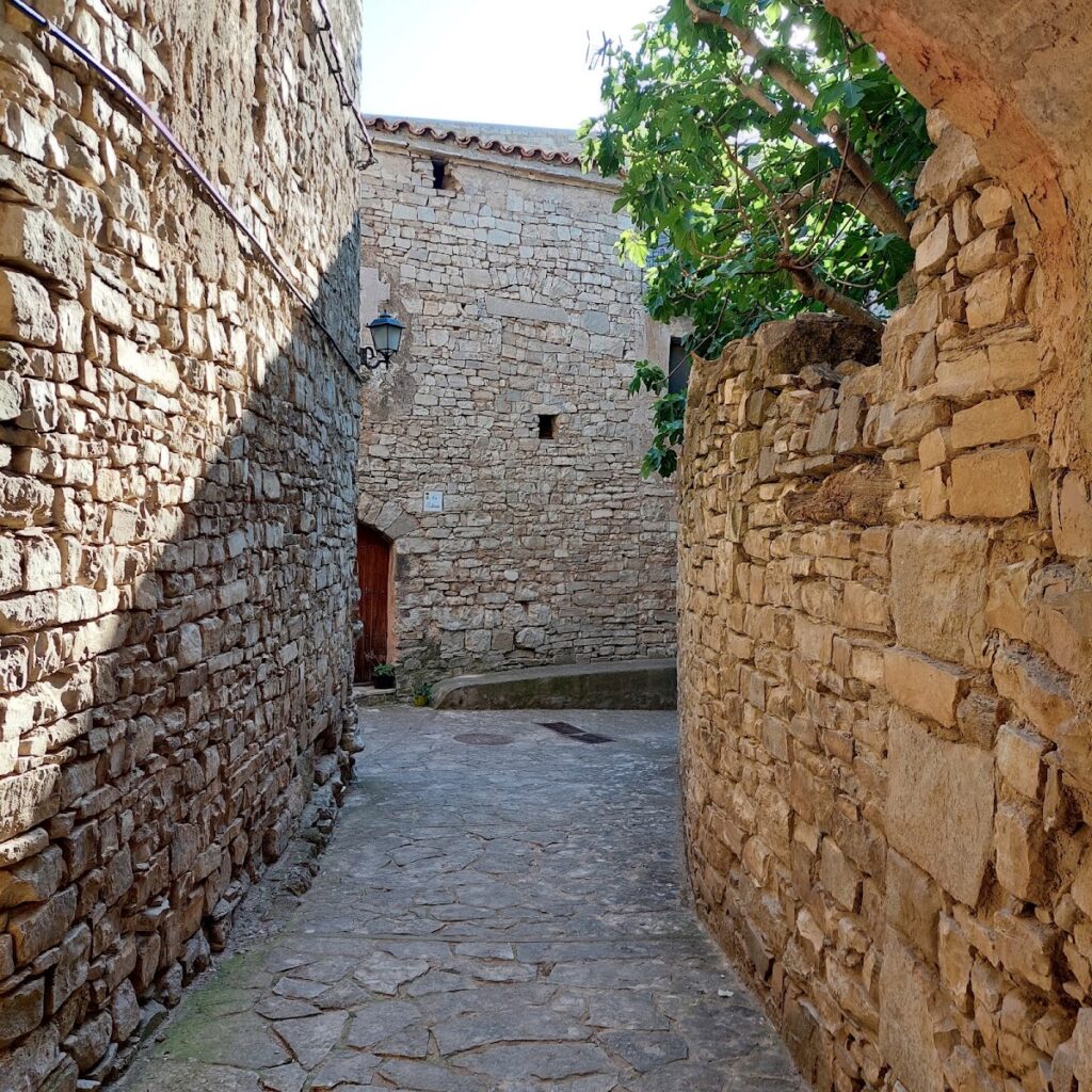 Castell de Montfalcó Gros: A Medieval Castle with Territorial Jurisdiction 2 Castell de Montfalcó Gros