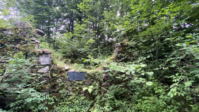 Burg Ellhofen: A Medieval Castle Ruin in Bavaria
