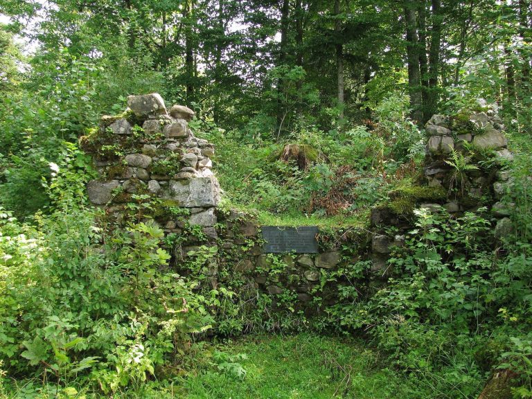 Burg Ellhofen: A Medieval Castle Ruin in Bavaria
