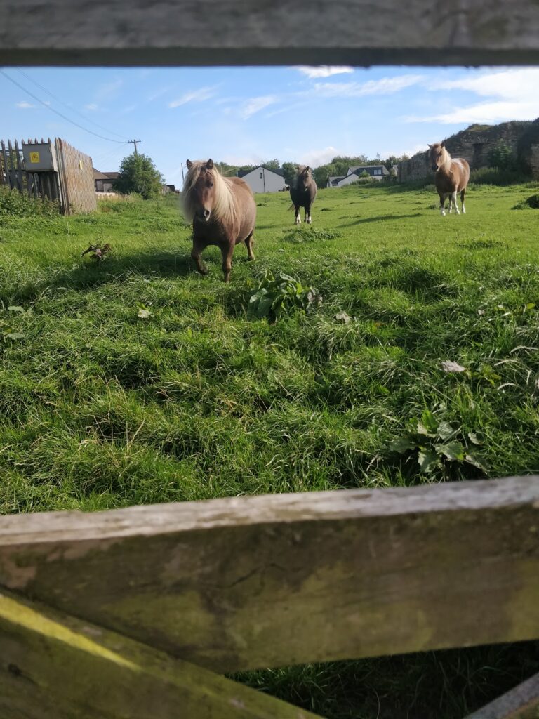 Cousland Castle: A Historic Scottish Tower House