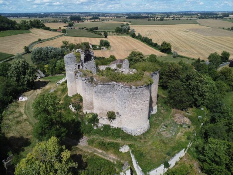 Château de Montaigu-le-Blin: A Medieval Castle in Montaigu-le-Blin, France