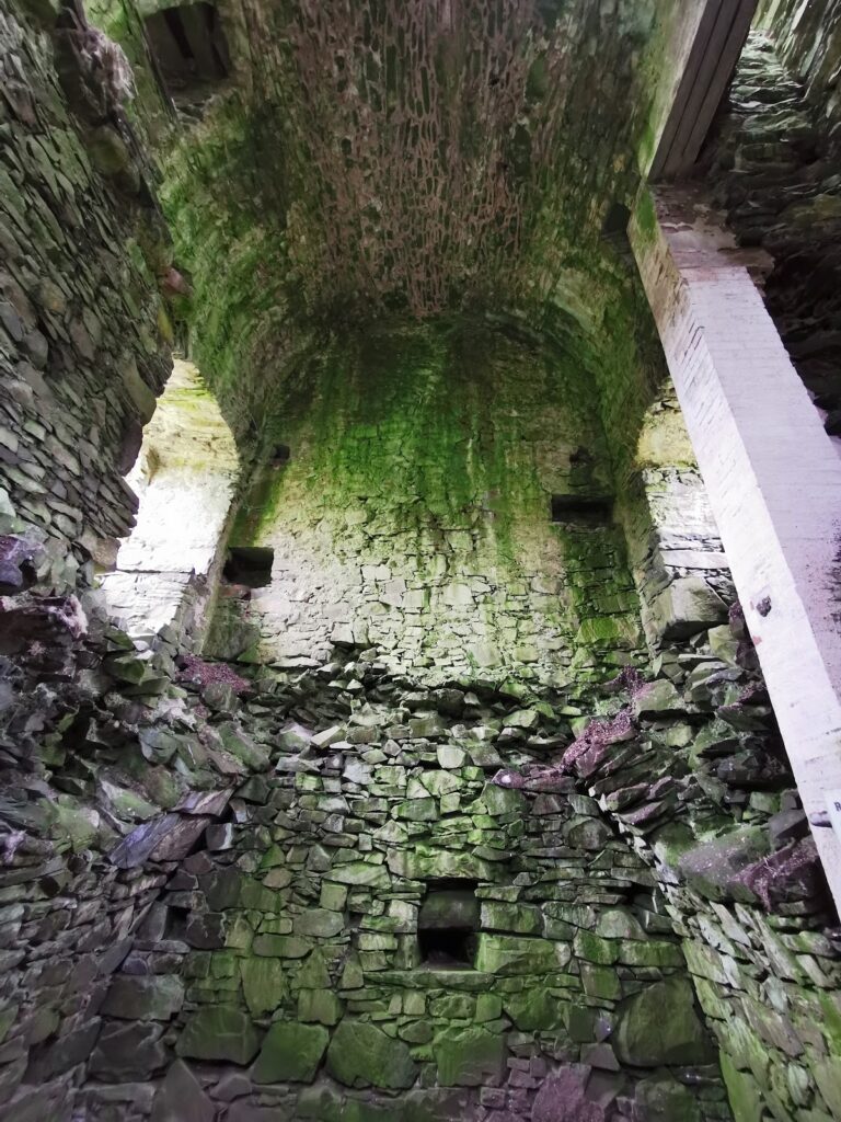 Dryhope Tower: A Historic Scottish Border Fortified Residence 4 Dryhope Tower