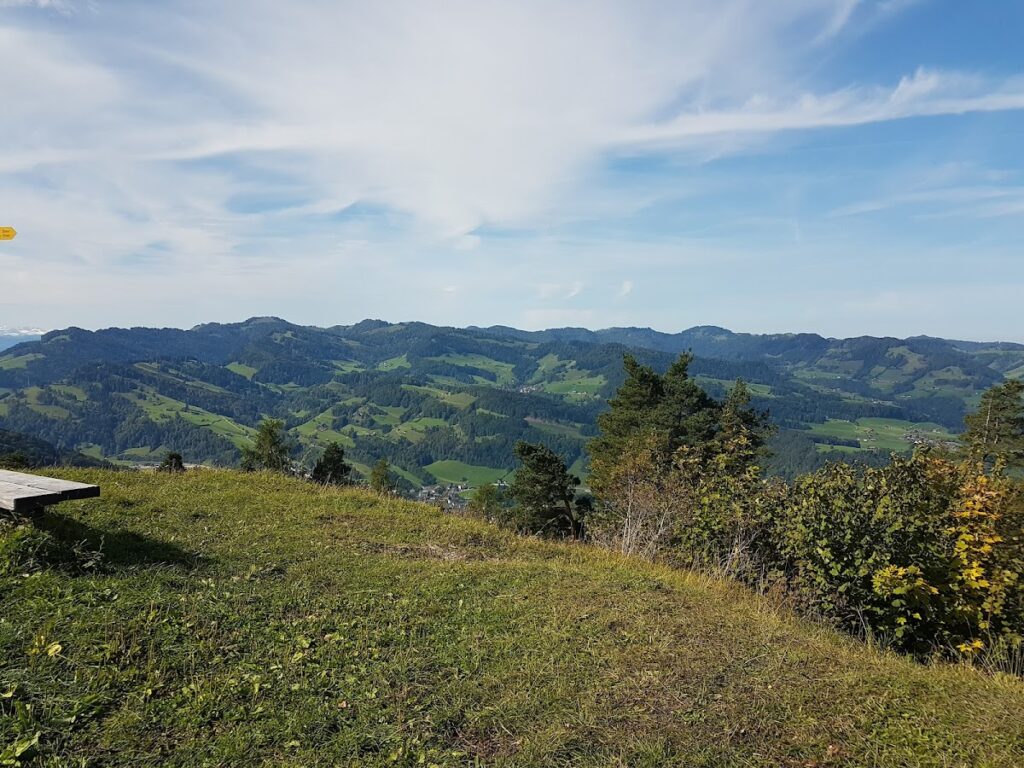 Neu-Toggenburg Castle Ruin: A Counts of Toggenburg Hilltop Castle 2 Neu-Toggenburg castle ruin