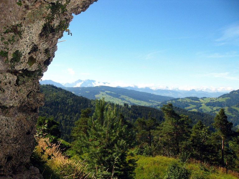 Neu-Toggenburg Castle Ruin: A Counts of Toggenburg Hilltop Castle