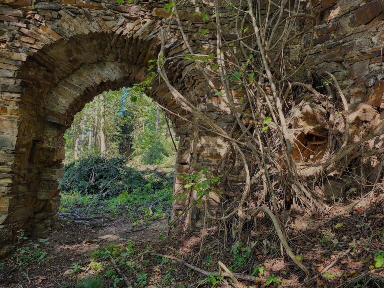Burgruine Hartneidstein: A Medieval Castle in Austria