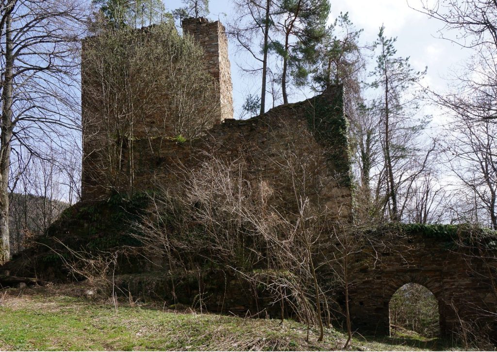 Hartneidstein: A Medieval Castle Ruin in Austria 1 Burgruine Hartneidstein