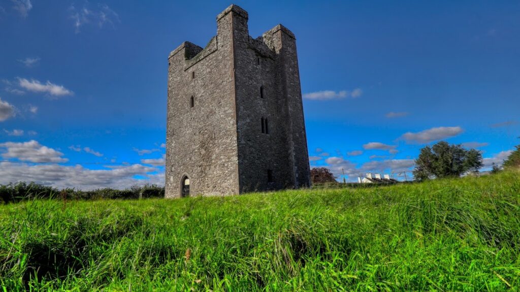 Roodstown Castle: A Fifteenth-Century Tower House in Ireland 1 Roodstown Castle