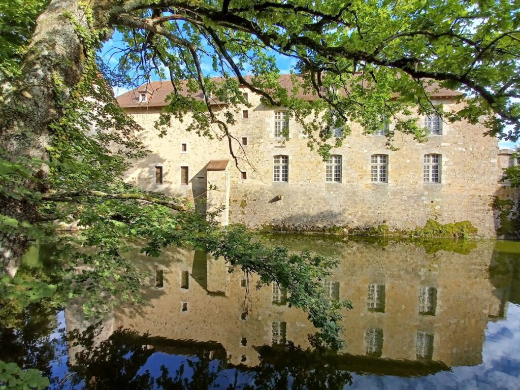 Château de Chaussins: A Medieval Fortified Castle in France 2 Château de Chaussins