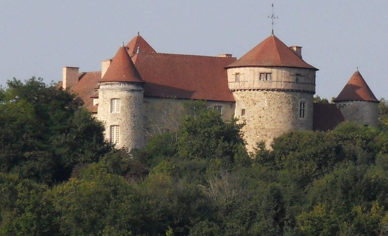 Château de Chaussins: A Medieval Fortified Castle in France