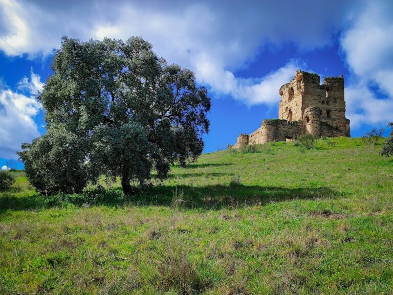 Castle of Aulencia: A Medieval Fortress in Villanueva de la Cañada, Spain