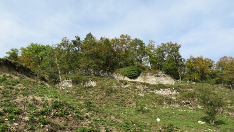 Frohberg Castle: A Medieval Fortress in Aesch, Switzerland