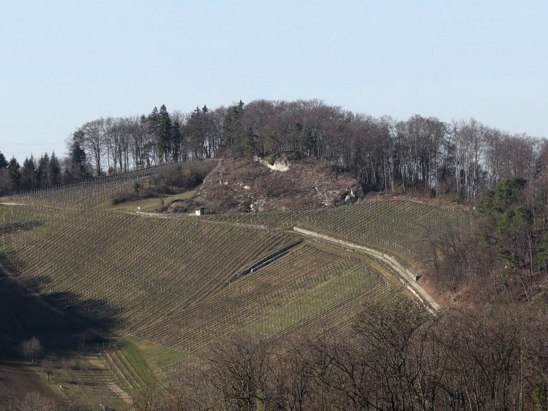 Frohberg Castle: A Medieval Hill Castle Ruin in Switzerland