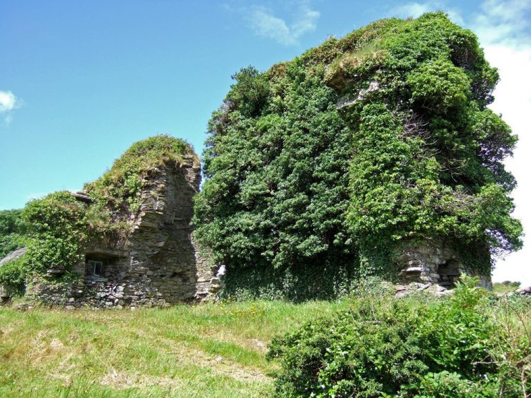 Rossmore Castle: A Gothic Revival Country House in Ireland