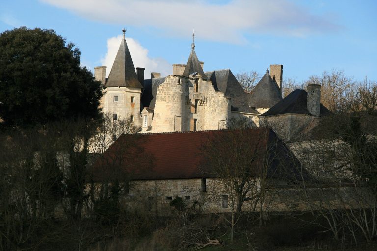 Château du Fou: A Late-Fifteenth-Century Château in Vouneuil-sur-Vienne