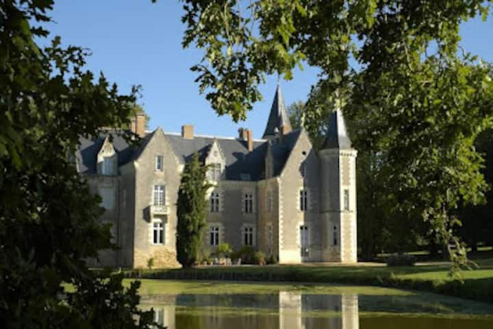 Château de Montriou: A Historic Medieval and 19th-Century Estate in Feneu, France